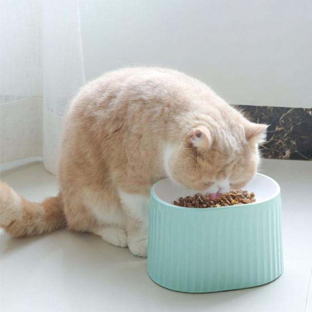 【ケース販売】 ペットプロジャパン HappyDays ラージボウル ピンク (×18セット)_14