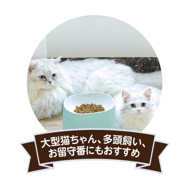 【ケース販売】 ペットプロジャパン HappyDays ラージボウル グリーン (×18セット)_11