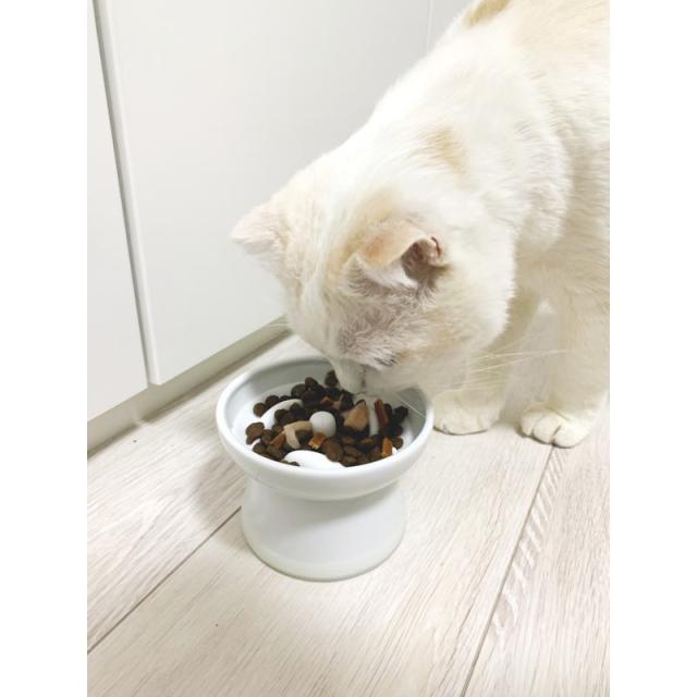 【ケース販売】 ペットプロジャパン HappyDays ピタッと早食い防止パット アイボリー (×50セット)_11