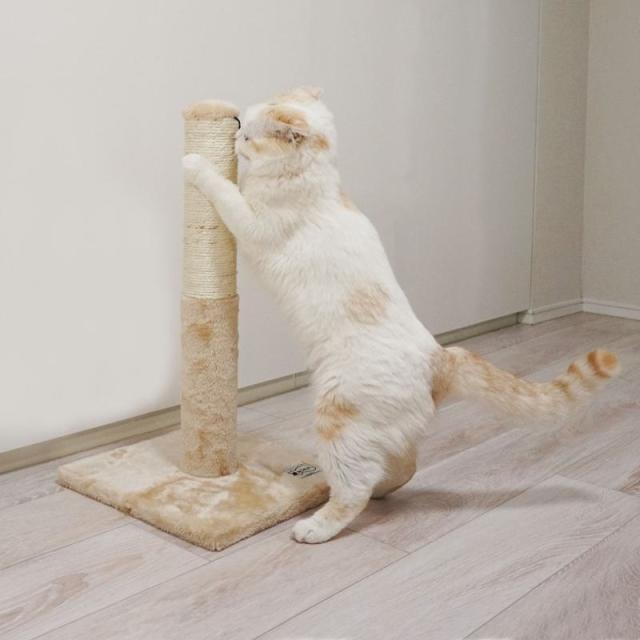【ケース販売】 ペットプロジャパン ねこがくれ ねこちゃん大好き爪とぎ キャットタワー ポール (×6セット)_5