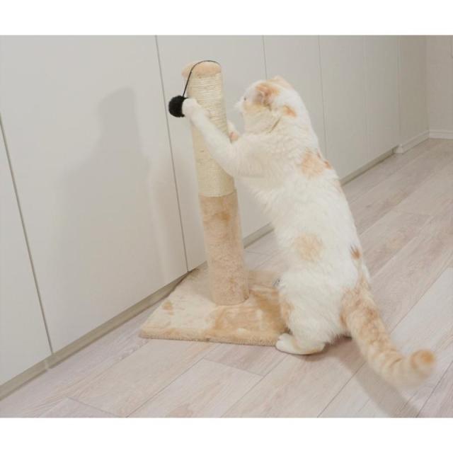【ケース販売】 ペットプロジャパン ねこがくれ ねこちゃん大好き爪とぎ キャットタワー ポール (×6セット)_7