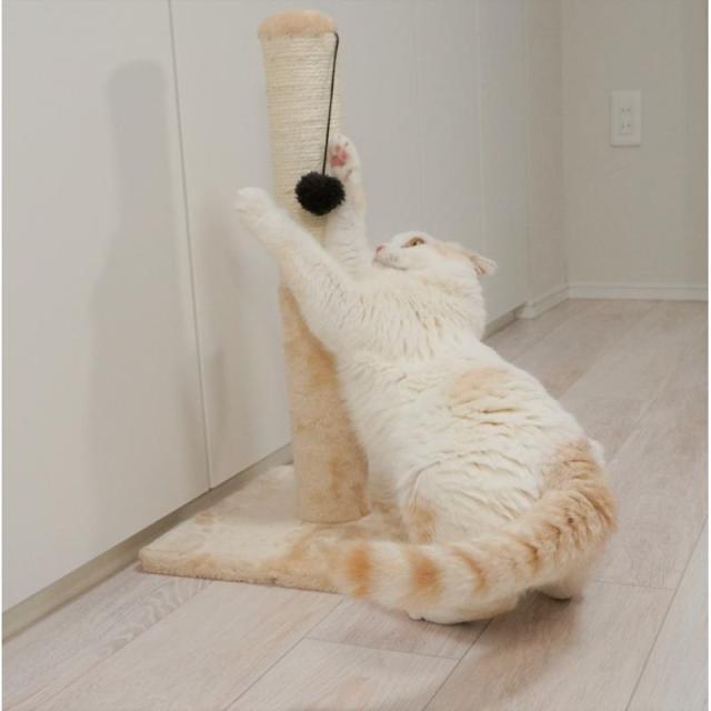 【ケース販売】 ペットプロジャパン ねこがくれ ねこちゃん大好き爪とぎ キャットタワー ポール (×6セット)_8