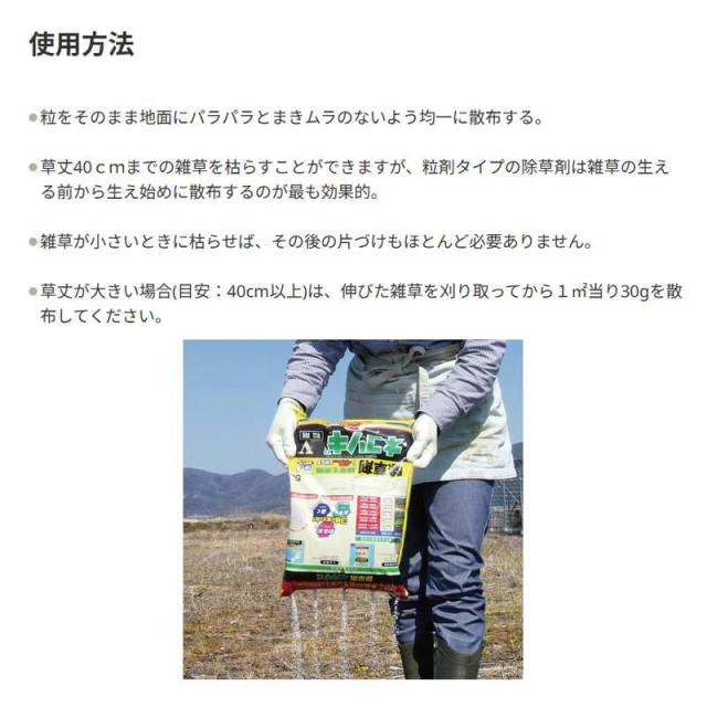 即納在庫品 レインボー薬品 ネコソギブロックV粒剤 10kg 2袋セット 園芸薬品 除草剤 粒状除草剤 スギナ長期効果持続 ネコソギエースV 後継品 強力 農薬 雑草 枯らす 10kg 2袋入の通販は - ホームセンターバロー 通販サイト