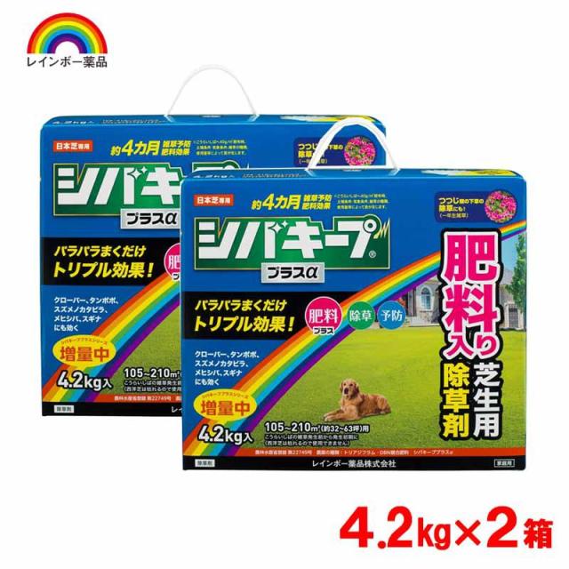 即納在庫品 レインボー薬品 シバキーププラスα 4.2kg×2箱 日本芝専用 除草剤 肥料入り 芝生用 除草 予防