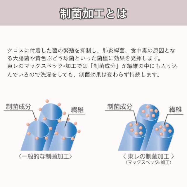 即納在庫品 東レ グラス磨き上げ用トレシー L 10枚 32×75_3