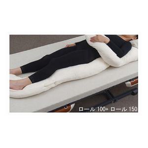 ナーセントExロール100 アイ・ソネックス ベッド関連/クッション/体位変換器 (P0254)_2