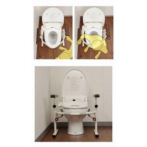 洋式トイレ用スライド手すり(ステンレス) / PN-L53001 パナソニック (T0784)_1
