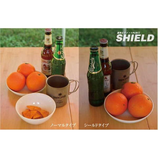 即納在庫品 スノーピーク タープ HDタープ“シールド”・ヘキサ（M）Proセット4人用 TP-861S