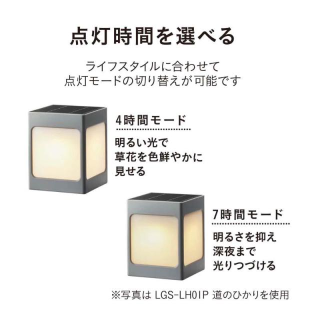 タカショー ひかりノベーション SUNCHARGE 花のひかり 2個セット ブラック LGS-LH02P_5