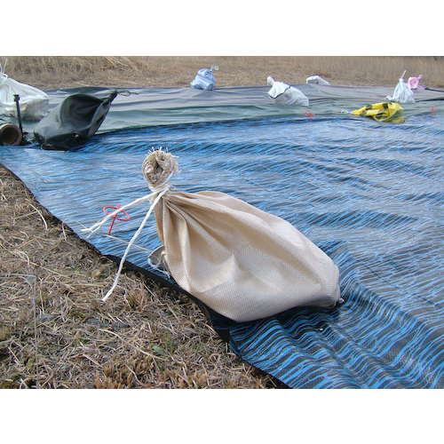 ■萩原 ターピー 強力土のう袋(収納袋) ベージュ 48cm×62cm《200枚入》〔品番:PPKB4862BE200〕【1030103×200:0】[店頭受取不可]