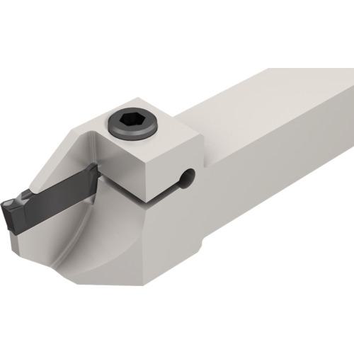 ■イスカル ドゥーグリップ DGTR/L-B-D〔品番:DGTL20BC3D40〕【1118654:0】[店頭受取不可]