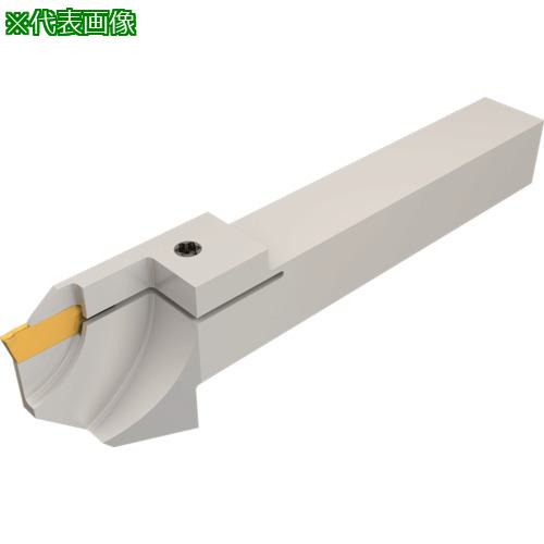 ■イスカル ドゥーグリップ 突っ切り・溝入れ加工用ホルダー DGTR/L-B-D-TR〔品番:DGTR12B1.4D20TR12〕【1118659:0】[店頭受取不可]