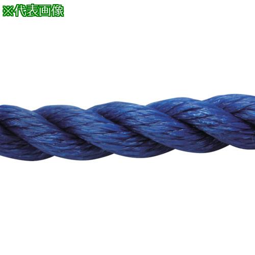 ■ユタカメイク ロープ PEロープ巻物 12φ×200m ブルー〔品番:PE62〕【1137058:0】[店頭受取不可] 15,919円
