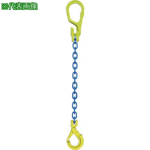 ■MARTEC チェーンスリングセット MG1-GBK10 チェーン店長=2m〔品番:MG1GBK10〕【1148046:0】[店先受け取り証書不可]