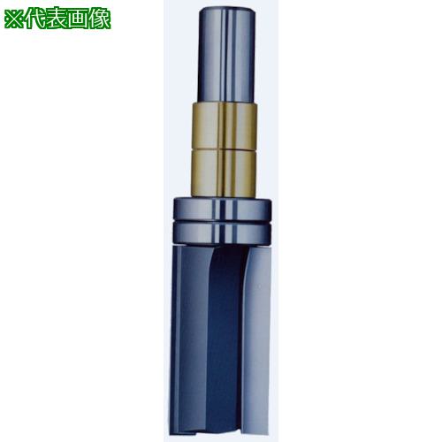 ■大日商 ガイドべアリング付ストレートビット 12×21 L40〔品番:GL40〕【1242157:0】[店頭受取不可]