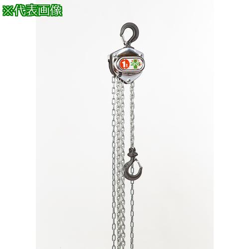 ■象印 ホイストマン トルコン機能付チェーンブロック1t・2.5m〔品番:HM301025〕【1242792:0】[店頭受取不可]