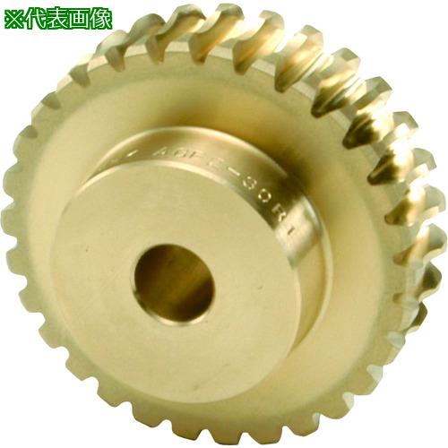 ■KHK ウォームホイールAGF6-20R1〔品番:AGF620R1〕【1259198:0】[店頭受取不可]