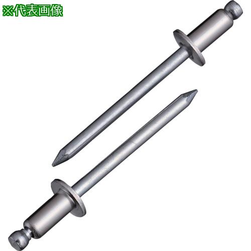 ■エビ ブラインドリベット(ステンレス/スティール製) 6-2(1000本入) 箱入〔品番:NSS62〕【1259571:0】[店頭受取不可] 21,701円