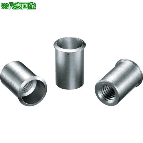 エビ　ブラインドナット“エビナット”（薄頭・スティール製）　板厚２．５　Ｍ６×１．０（１０００個入） ( NSK625M ) ( EGZ61 ) ロブテックス エビ ブラインドナット エビナット （薄頭・アルミ製