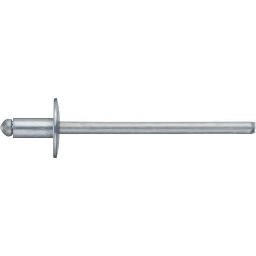 ■POP オープンタイプ ラージフランジリベット(アルミ/アルミ製)AD-42-ABS-LF(1000本入り)〔品番:AD42ABSLF〕【1573826:0】[店頭受取不可] 14,399円