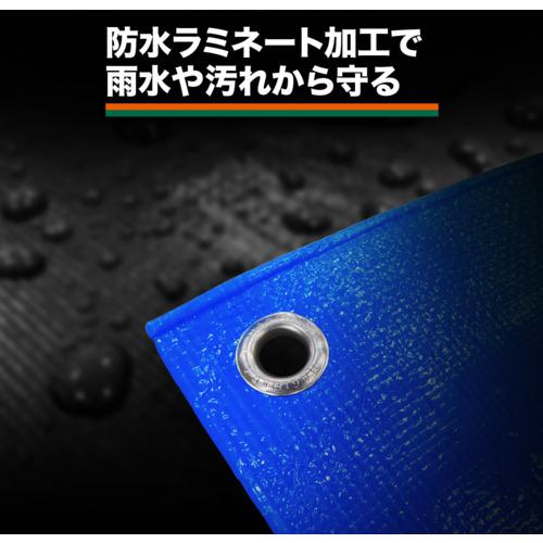 ■TRUSCO 防炎ブルーシート #2500 10.0m×10.0m〔品番:BSR100100〕【1611145:0】[店頭受取不可]_3