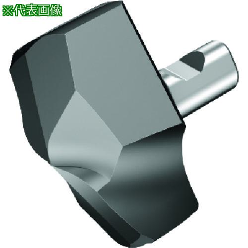■SANDVIK コロドリル870 ドリルヘッド(346) 3334〔品番:870258025KM〕【1616150:0】[店頭受取不可]