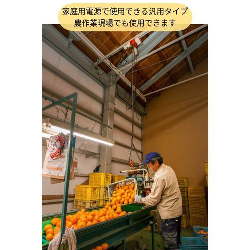 ■KITO 電気チェーンブロック キトーセレクト ED形 定格荷重240kg 揚程3m 単相100V2速形 【選べる定格荷重】 ED24ST 〔品番:ED24ST〕【1760599:0】[店頭受取不可]_2
