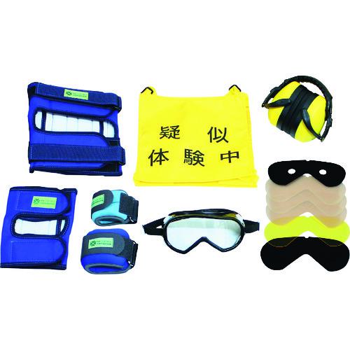 ■sanwa 高齢者疑似体験教材 スタンダードセット2〔品番:110060〕【1996385:0】[店頭受取不可]