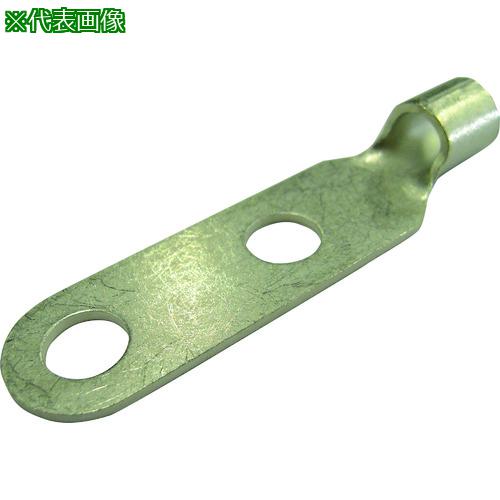 ■DST 裸圧着端子 二ツ穴端子 RD250-14 8個入り〔品番:RD25014〕【2065720:0】[店頭受取不可]