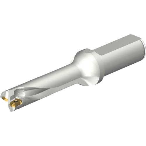 ■SANDVIK コロドリルDS20刃先交換式ドリル(465)〔品番:DS20D1900L2504〕【2152997:0】[店頭受取不可]