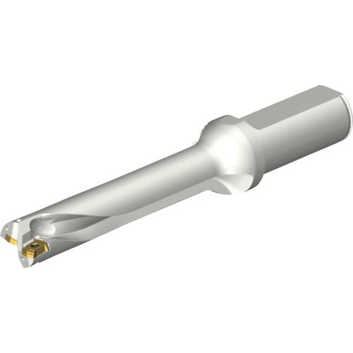 ■SANDVIK コロドリルDS20刃先交換式ドリル(465)〔品番:DS20D2000L2505〕【2153007:0】[店頭受取不可]