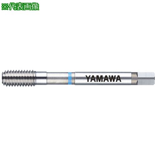 ■ヤマワ ねじ簡易検査ツール SIT M24X3 6H GB〔品番:SITM24X36HGB〕【2155375:0】[店頭受取不可]