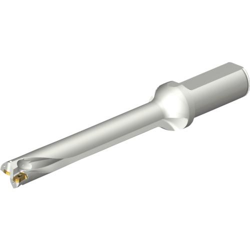 ■SANDVIK コロドリルDS20刃先交換式ドリル(465)〔品番:DS20D1800L2507〕【2160987:0】[店頭受取不可]