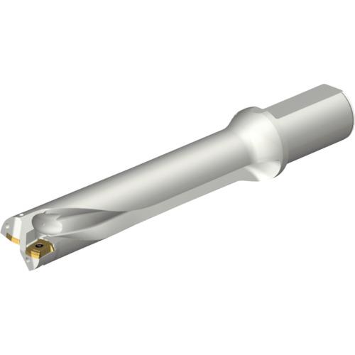 ■SANDVIK コロドリルDS20刃先交換式ドリル(465)〔品番:DS20D3700L4005〕【2162569:0】[店頭受取不可]