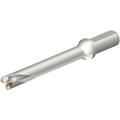 ■SANDVIK コロドリルDS20刃先交換式ドリル(465)〔品番:DS20D2100L2507〕【2162584:0】[店頭受取不可]
