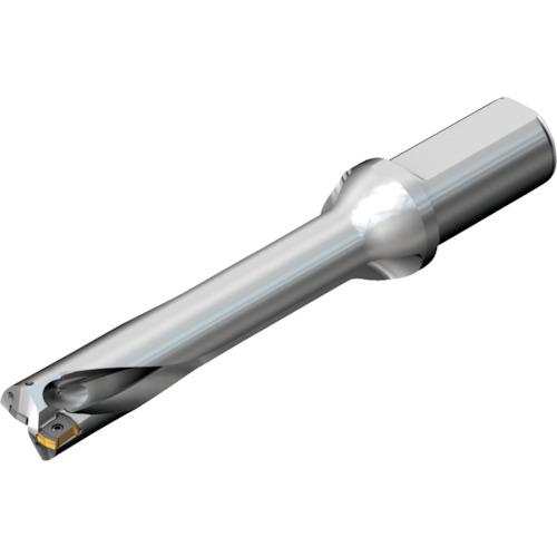 ■SANDVIK コロドリルDS20刃先交換式ドリル(465)〔品番:DS20D4000L4005〕【2164073:0】[店頭受取不可]