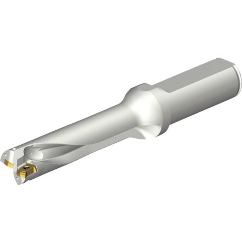 ■SANDVIK コロドリルDS20刃先交換式ドリル(465)〔品番:DS20D1700L2004〕【2164077:0】[店頭受取不可]