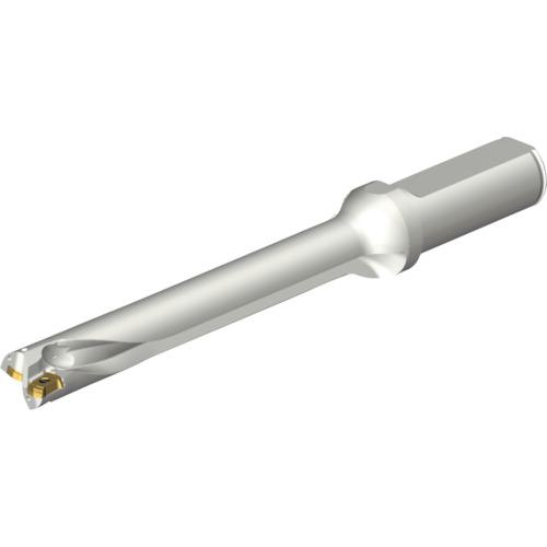 ■SANDVIK コロドリルDS20刃先交換式ドリル(465)〔品番:DS20D1600L2007〕【2164112:0】[店頭受取不可]