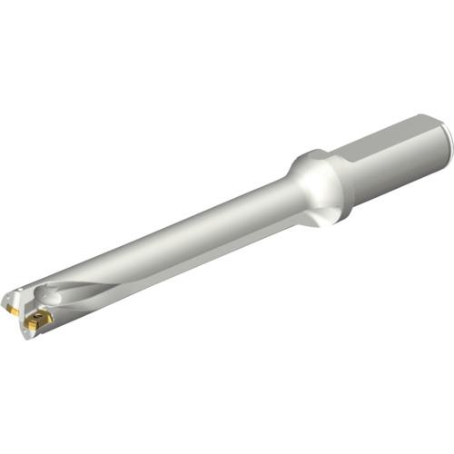 ■SANDVIK コロドリルDS20刃先交換式ドリル(465)〔品番:DS20D1700L2007〕【2164117:0】[店頭受取不可]