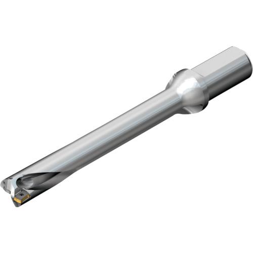 ■SANDVIK コロドリルDS20刃先交換式ドリル(465)〔品番:DS20D3100L4007〕【2164155:0】[店頭受取不可]