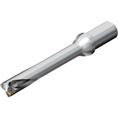 ■SANDVIK コロドリルDS20刃先交換式ドリル(465)〔品番:DS20D3300L4006〕【2164160:0】[店頭受取不可]