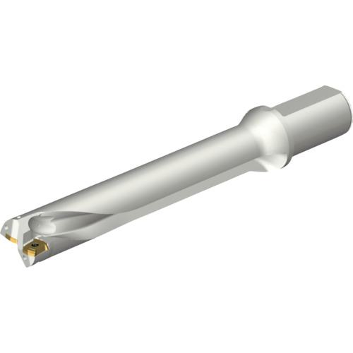 ■SANDVIK コロドリルDS20刃先交換式ドリル(465)〔品番:DS20D3700L4006〕【2164161:0】[店頭受取不可]