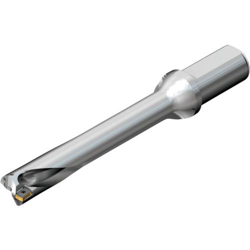 ■SANDVIK コロドリルDS20刃先交換式ドリル(465)〔品番:DS20D2300L2506〕【2165653:0】[店頭受取不可]