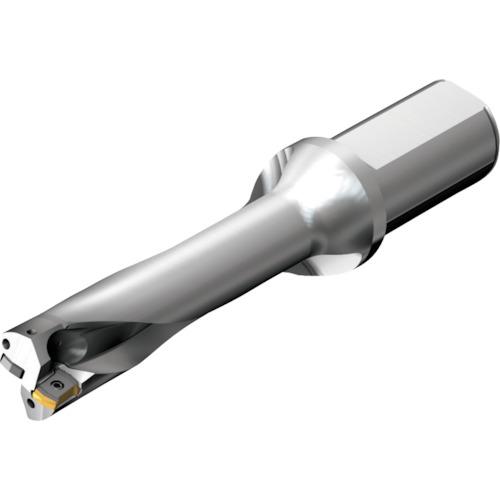 ■SANDVIK コロドリルDS20刃先交換式ドリル(465)〔品番:DS20D3700L4004〕【2165664:0】[店頭受取不可]