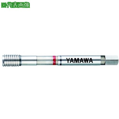 ■ヤマワ ねじ簡易検査ツール SIT M24X3 6H NB〔品番:SITM24X36HNB〕【2174305:0】[店頭受取不可]