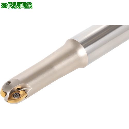 ■タンガロイ ボール・ラフ・ノーズ 柄付きカッタ EBRM〔品番:EBRM16T20S130〕【2239924:0】[店頭受取不可]