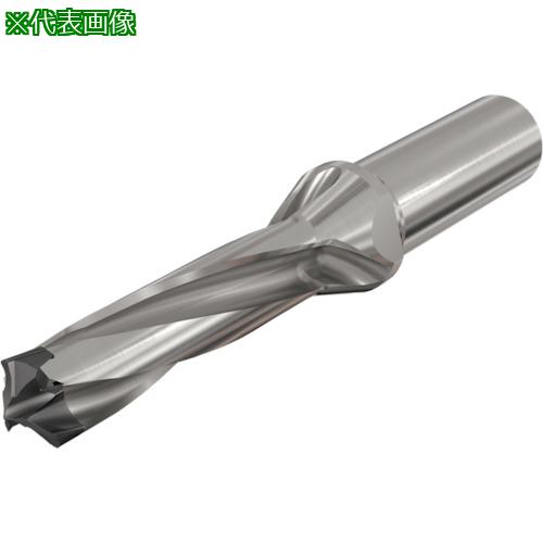 ＭＯＬＤＩＮＯ カッタ用インサート ＪＤＭＴ１５０５０８Ｒ－ＴＦＷ ＪＰ４１２０ 【公式通販】 日立ツール カッタ用インサート WDNW140520Z JP4120(7752172) 入数：10個