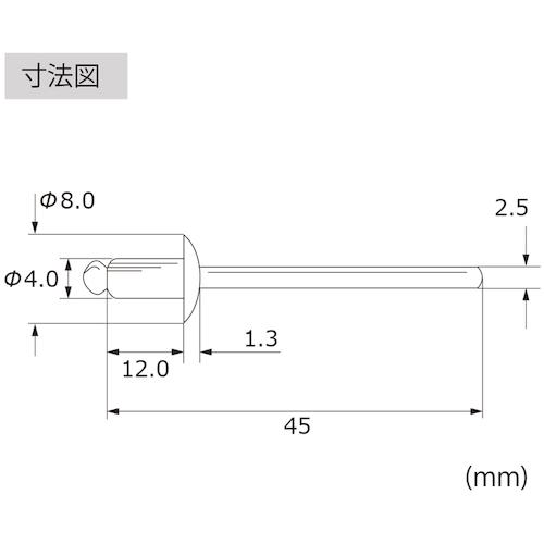 ■【在庫限り】エビ ブラインドリベット(丸頭) ステンレス/スティール製 5-5(1000本入)〔品番:LSS55〕【2442431:0】[店頭受取不可]_6