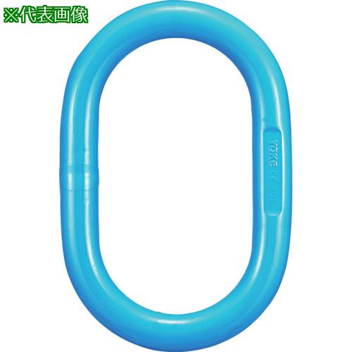 ■【在庫限り】YOKE G-100マスターリンク X-001 24t〔品番:X00136〕【2498902:0】[店頭受取不可]