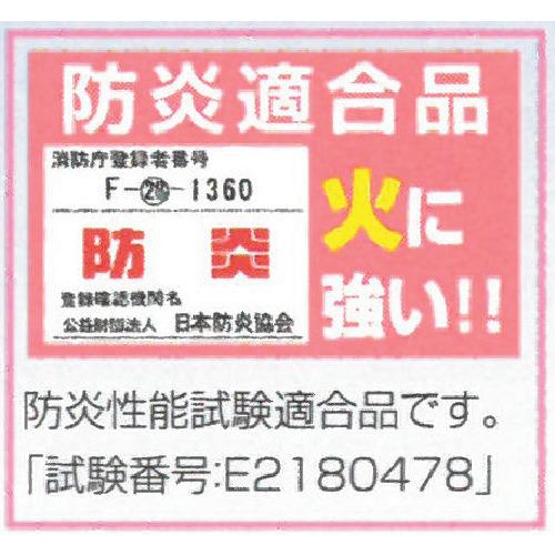 ■MISM 玄関マット ダイヤモンド吸水マットG KM-001〔品番:309050028〕【2504826:0】[店頭受取不可]_2